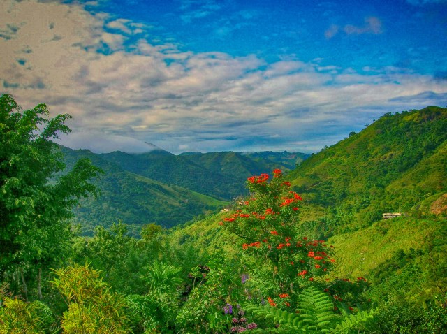 OROCOVIS 1
